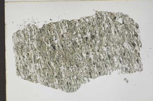 Plane Polarized, S47577