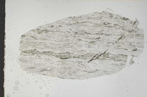 Plane Polarized, S47578