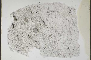 Plane Polarized, S47585