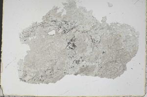 Plane Polarized, S47593