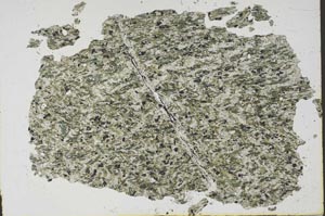 Plane Polarized, S47598