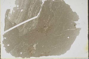 Plane Polarized, S47601