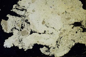 Cross Polarized, S47608