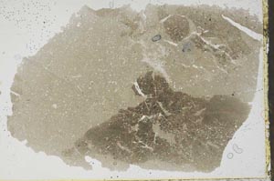 Plane Polarized, S47611