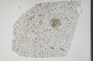 Plane Polarized, S47618