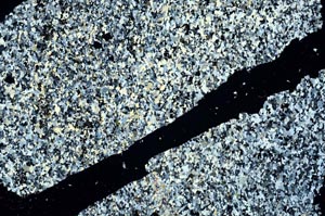 Cross Polarized, S47649