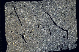 Cross Polarized, S47651