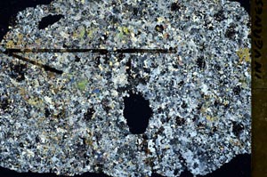 Cross Polarized, S47666