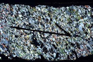 Cross Polarized, S47667