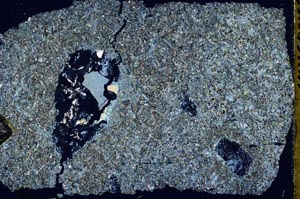 Cross Polarized, S47671