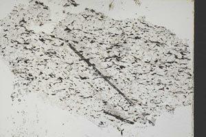 Plane Polarized, S47672