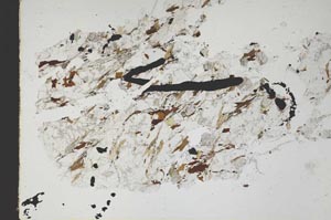 Plane Polarized, S47674/A