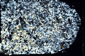 Cross Polarized, S47678
