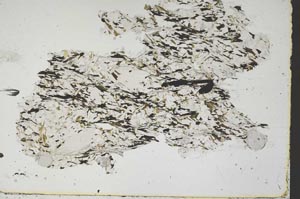 Plane Polarized, S47680