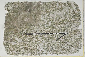 Plane Polarized, S47686