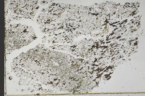 Plane Polarized, S47687