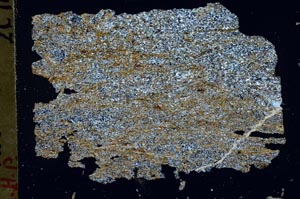 Cross Polarized, S47688