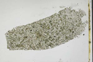 Plane Polarized, S47697