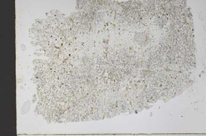 Plane Polarized, S47701