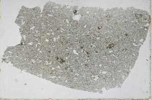 Plane Polarized, S47721