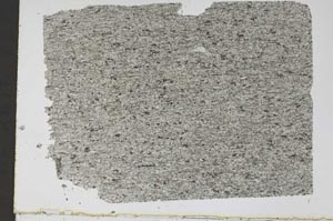 Plane Polarized, S47723