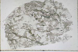 Plane Polarized, S47747