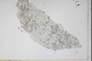 Plane Polarized, S47748