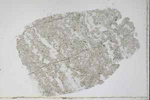 Plane Polarized, S47752