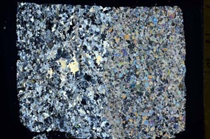 Cross Polarized, S47764