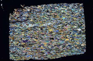 Cross Polarized, S47766