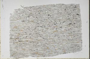 Plane Polarized, S47766