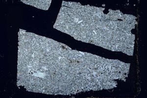 Cross Polarized, S47790