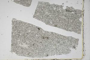 Plane Polarized, S47790