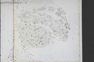 Plane Polarized, S47803