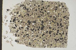 Plane Polarized, S47827