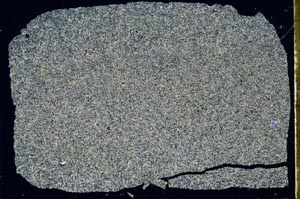 Cross Polarized, S47828