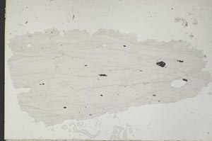 Plane Polarized, S47831