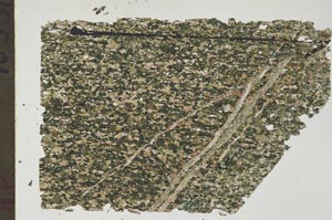 Plane Polarized, S47834