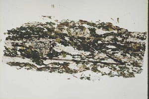 Plane Polarized, S47837
