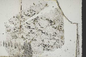 Plane Polarized, S47838