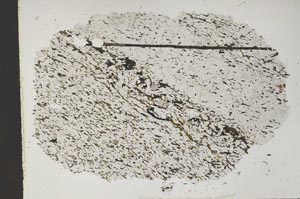 Plane Polarized, S47839