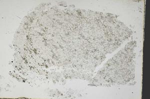 Plane Polarized, S47848