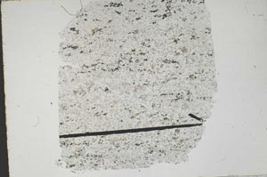Plane Polarized, S47849