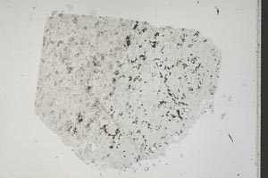 Plane Polarized, S47852