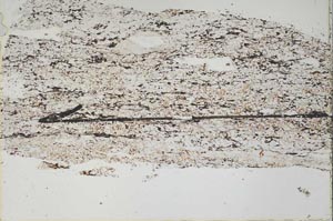Plane Polarized, S47855
