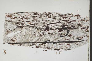 Plane Polarized, S47861