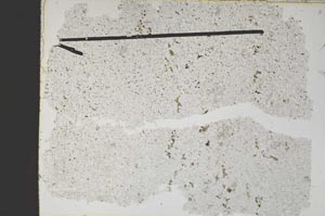 Plane Polarized, S47864