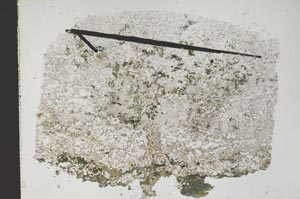 Plane Polarized, S47867