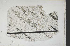 Plane Polarized, S47868