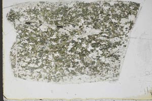 Plane Polarized, S47886